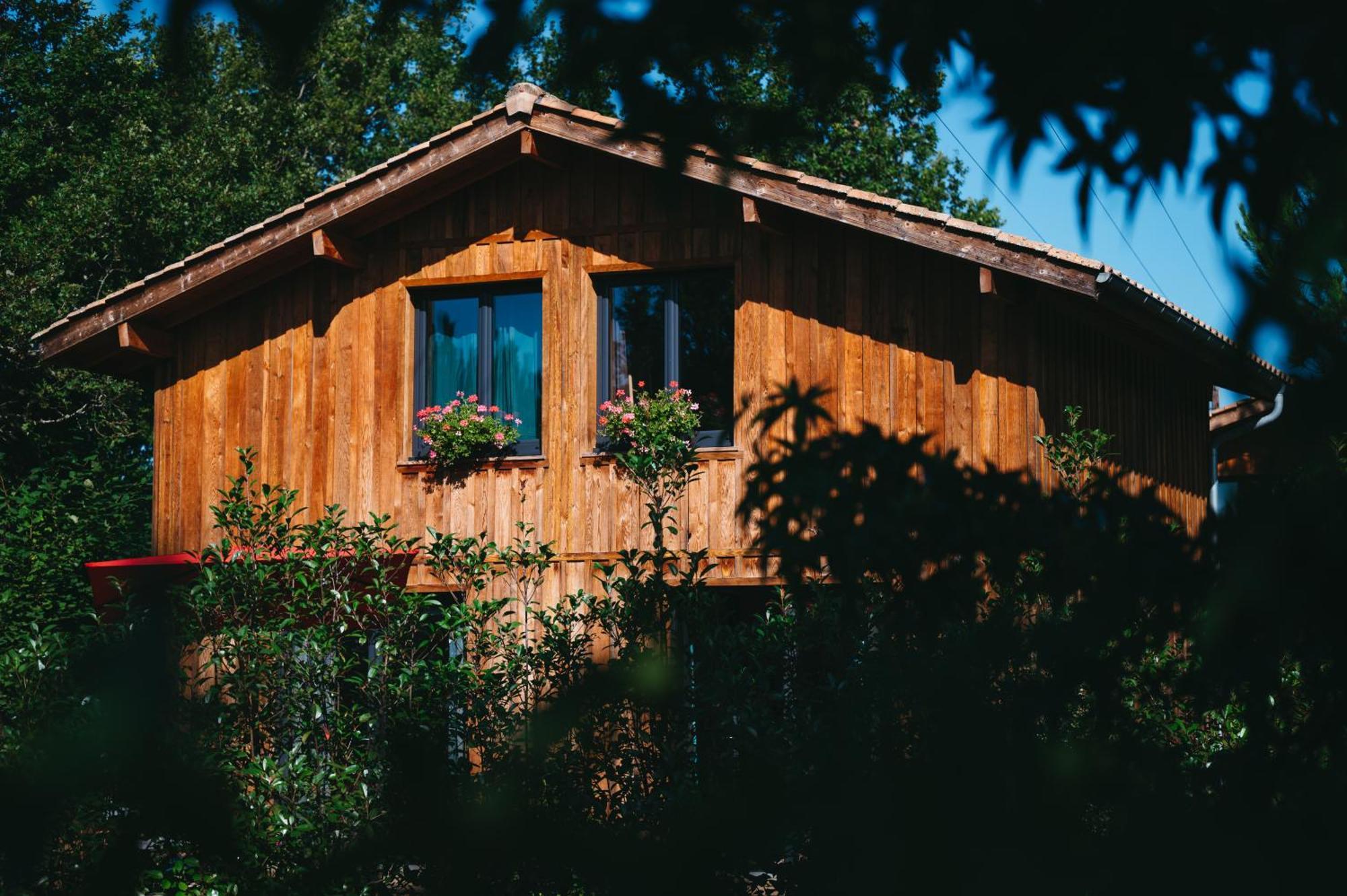 Le Domaine De Petiosse Bed & Breakfast Saint-Julien-en-Born Exterior photo